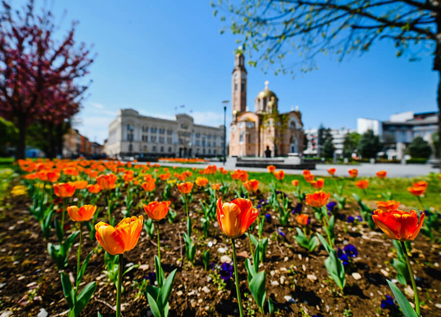 Commercialista Bosnia